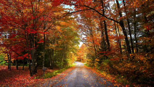 1752997 (a): :2840x1597